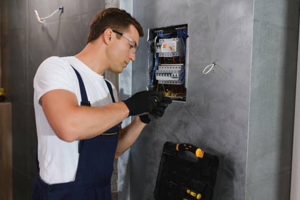 Best Electric Panel Repair  in Greendale, WI